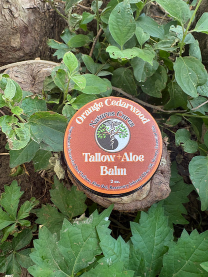 Tallow+Aloe Balm-Orange Cedarwood