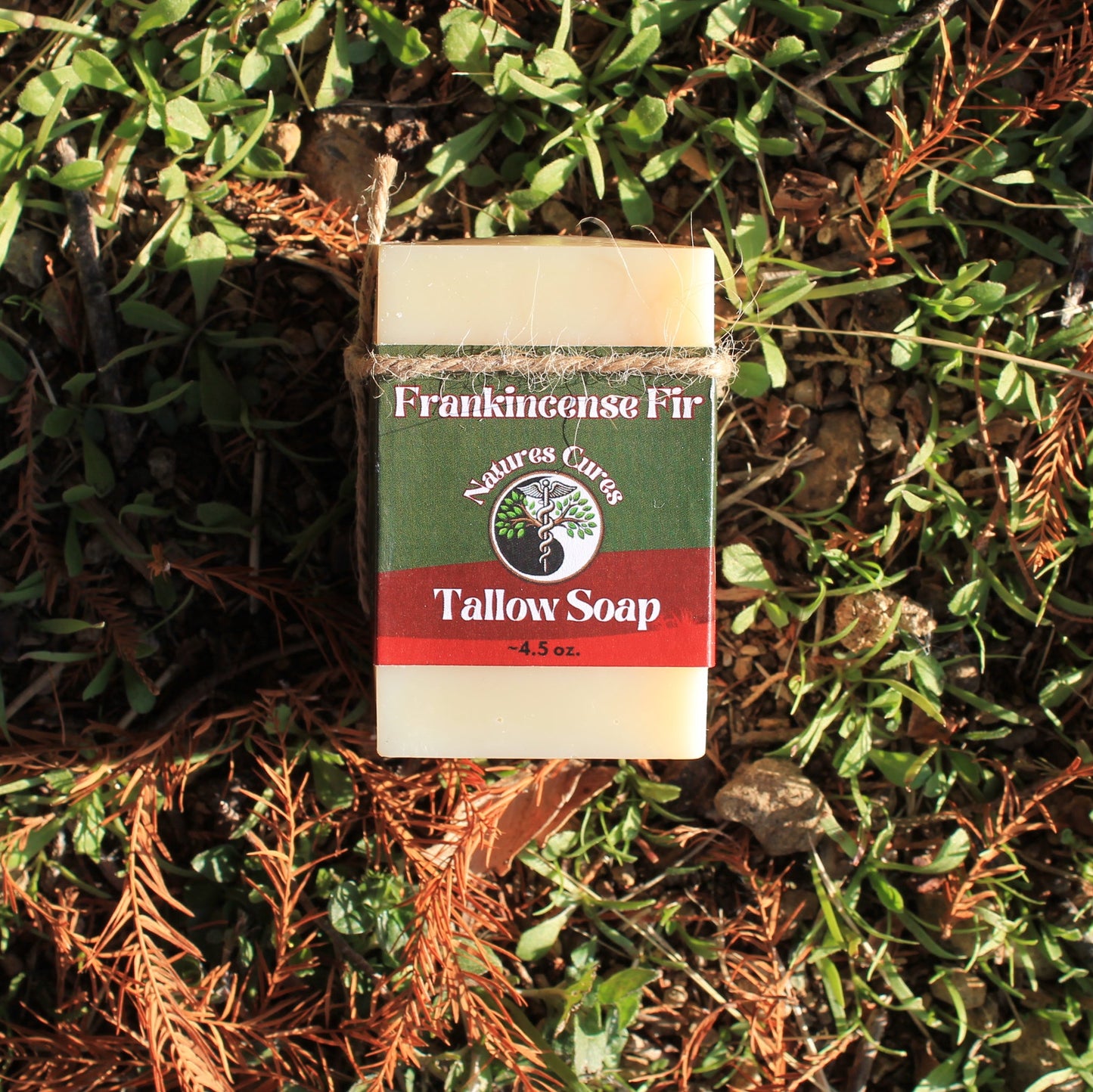 Frankincense Fir Soap Bar