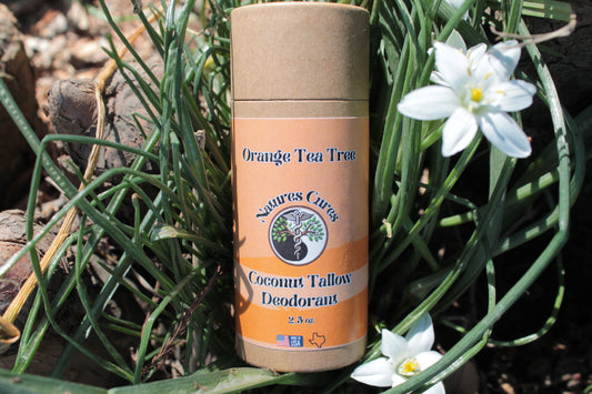 Coconut Tallow Deodorant - Orange Tea Tree